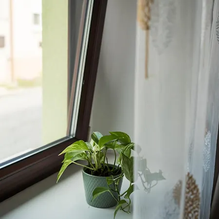 Appartement Csipesz_vendeghaz *